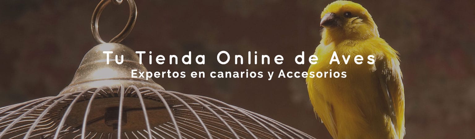 Tienda online canarios